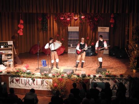 12. tradicionalni glasbeno-humoristični Valentinov koncert 47